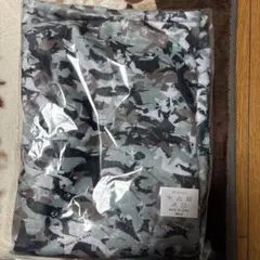 Item thumbnail for item 627e56dd-51d0-4a4b-ab0e-4893389cda07