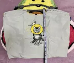 Item thumbnail for item 2a4d8825-3933-49d4-a324-8b9382beebd0