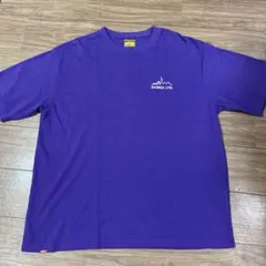 レアデザイン AVIREX レコードグラフィック バックプリント 刺繍Tシャツのサムネイル
