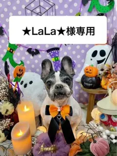 ★LaLa★☆お値引き致します☆様 リクエスト 4点 まとめ商品