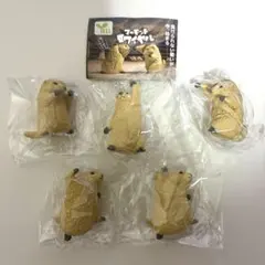 YELL カプセルトイ マーモットロワイヤル 5体セット