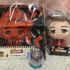 TiNyTAN RM セット