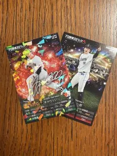 Item thumbnail for item 1a3f3677-0904-4404-9067-30412cf3a0c1