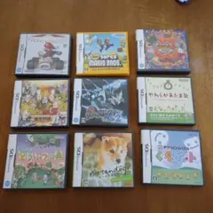 ニンテンドーDSソフトケースのみ×9個
