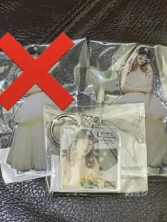 FRUITSZIPPER 仲川瑠夏 2025生誕 アクリルスタンド等