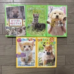 5冊まとめ売り 角川つばさ文庫 集英社みらい文庫
