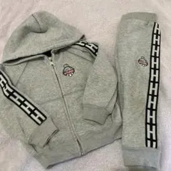 ヒスミニ ぶらさがり　セトア　90