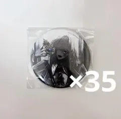 叶 藍 アルバム アニメイト特典 缶バッジ 35点