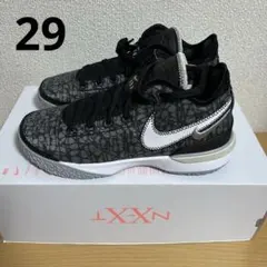 2025年最新】lebron nxxt gen 29の人気アイテム - メルカリ