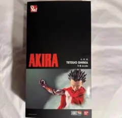 AKIRA 島鉄雄 フィギュア メディコムトイ BM PROJECT - メルカリ