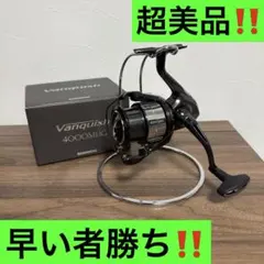 2026年最新】ヴァンキッシュ 4000mhgの人気アイテム - メルカリ