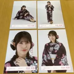 櫻坂46 2025年浴衣　コンプ　向井純葉