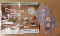 Item thumbnail for item 7e27f90b-3516-471b-8298-626858c738cc