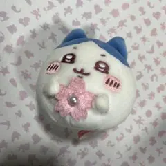 ちいかわ　⑧ ハチワレ　マスコット　MINISO 桜 ハチワレ　CHIKAWA