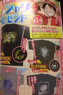 ★少年ジャンプ 最新号★ ワンピース Tシャツプレゼント 応募券7枚セット