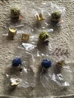 ジョジョの奇妙な冒険 ジョジョコレガチャ