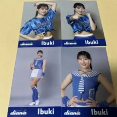 Item thumbnail for item bd255d8d-5c50-42df-863a-ade457e24436