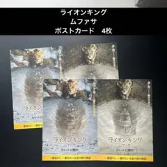 ライオンキング　ムファサポストカード　4枚
