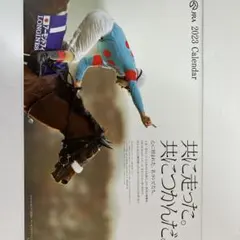 【美品　未使用品】2023 JRA名馬カレンダー