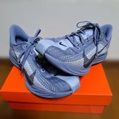 Nike Zoom X ペガサスプラス PegasusPLUS 27.0