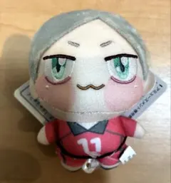 ハイキュー ちょぴぬいぷち 灰羽リエーフ