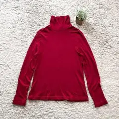 【GIANNI LO GIUDICE】タートルネックカットソー 長袖 トップス