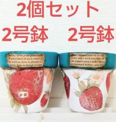 婆ちゃんのリメイク鉢『苺』2号鉢 2個セット