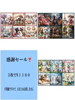 感謝セール！３１