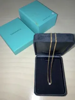 【お値下げ】Tiffany & Co. 一粒ダイヤネックレス