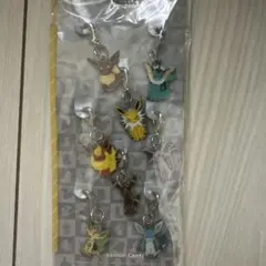 ポケモン メタルチャーム ブイズ8種