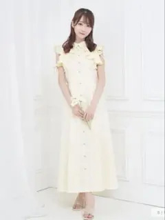 2026年最新】Flare shirt dress ロゼミューズの人気アイテム - メルカリ