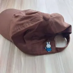 Item thumbnail for item 33c34da7-a24e-4e0e-84af-c1bb36c21292