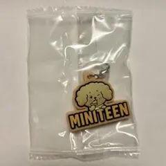 SEVENTEEN ドギョム MINITEEN めじるしアクセサリー