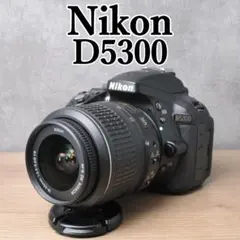 Wi-Fi搭載機✨Nikon D5300✨自撮り 一眼レフカメラ スマホ転送 - メルカリ