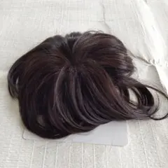 サキナ　SAQINAウィッグ　スキニータイプ スキニータイプ｜サキナウィッグ｜フヨウサキナ