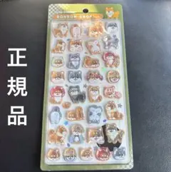 柴犬　ボンボンドロップシール　ボンドロ　和柄　正規品