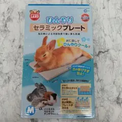 Item thumbnail for item 7e917dd2-44e6-4839-b655-0dfc91b0ce3d