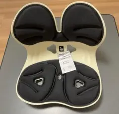 【ドイツ レッドドット賞受賞ブランド】DEZIYUA(デズヤ）第二世代 姿勢矯