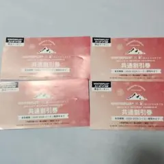 ウインタープラス マックアース 共通割引券 4枚セット　リフト券