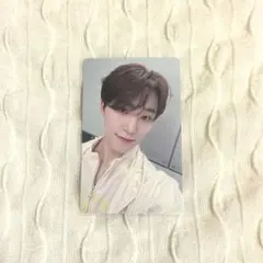 SEVENTEEN ディノ 会場限定 トレカ