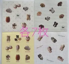 メゾンテリア　裏紙メモ　おすそ分け　28枚　★ラスト