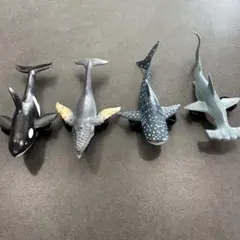 Item thumbnail for item 2f59061e-0ad6-462e-96ea-c1174914b4ac