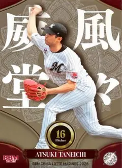 うちゃこ様 リクエスト 6点 まとめ商品