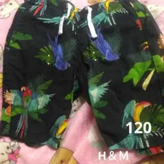 Item thumbnail for item dea76000-4948-41d5-84a7-40278dd846dc