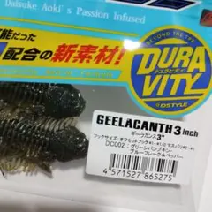 2026年最新】ギーラカンスの人気アイテム - メルカリ