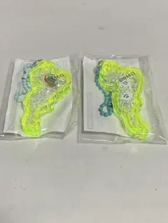 琵琶湖 アクリルキーホルダー 2個セット