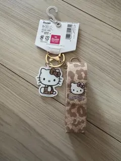 ハローキティ ヒョウ柄リップケース