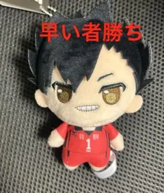 ぷちっしゅ！ ハイキュー!! vol.2 【黒尾鉄朗】