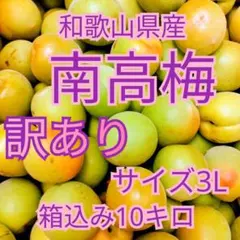 白加賀梅3L青梅加工用 4キロ - メルカリ