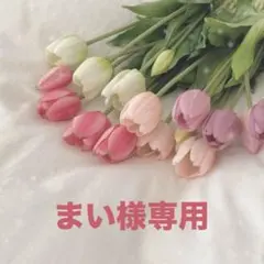 【まい様専用】COACH ミニローアン クロスボディ シグネチャー キャンバス